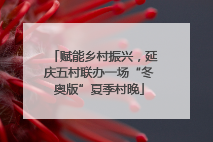 赋能乡村振兴，延庆五村联办一场“冬奥版”夏季村晚