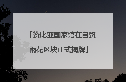 赞比亚国家馆在自贸雨花区块正式揭牌