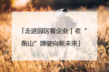 走进园区看企业｜老“衡山”牌驶向新未来