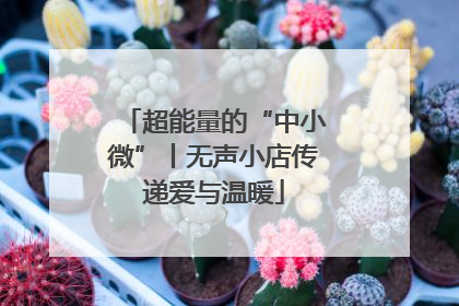 超能量的“中小微”丨无声小店传递爱与温暖