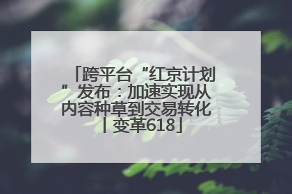 跨平台“红京计划”发布：加速实现从内容种草到交易转化丨变革618