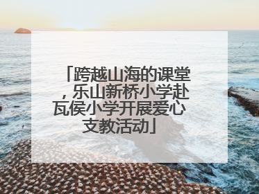 跨越山海的课堂，乐山新桥小学赴瓦侯小学开展爱心支教活动