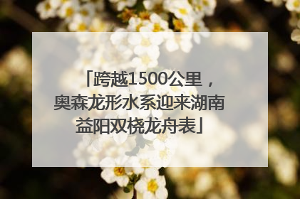 跨越1500公里,奥森龙形水系迎来湖南益阳双桡龙舟表