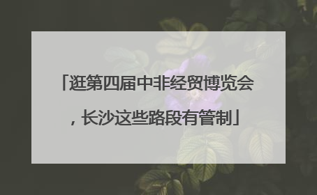 逛第四届中非经贸博览会，长沙这些路段有管制