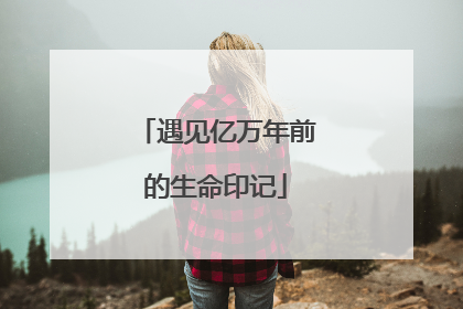遇见亿万年前的生命印记