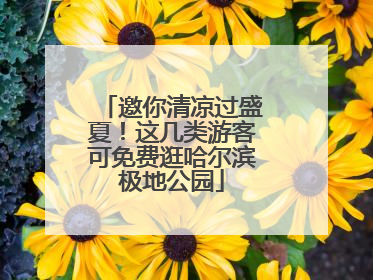 邀你清凉过盛夏！这几类游客可免费逛哈尔滨极地公园
