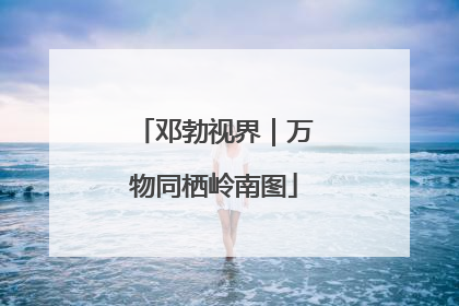 邓勃视界｜万物同栖岭南图