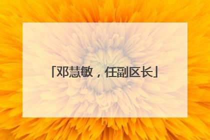 邓慧敏，任副区长