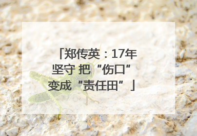 郑传英：17年坚守 把“伤口”变成“责任田”