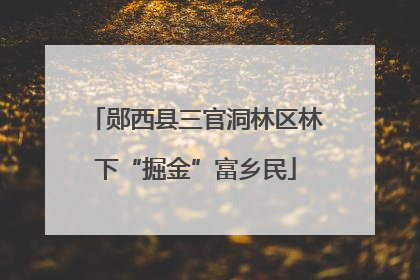 郧西县三官洞林区林下“掘金”富乡民