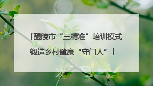 醴陵市“三精准”培训模式锻造乡村健康“守门人”