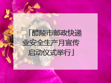 醴陵市邮政快递业安全生产月宣传启动仪式举行