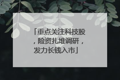 重点关注科技股，险资扎堆调研，发力长钱入市