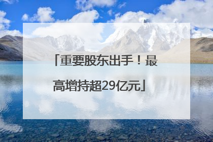 重要股东出手！最高增持超29亿元