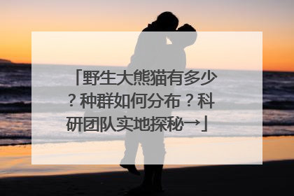 野生大熊猫有多少？种群如何分布？科研团队实地探秘→