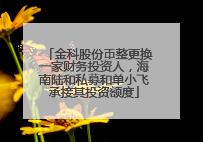 金科股份重整更换一家财务投资人，海南陆和私募和单小飞承接其投资额度