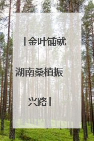 金叶铺就湖南桑植振兴路