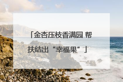 金杏压枝香满园 帮扶结出“幸福果”