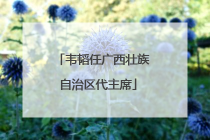 韦韬任广西壮族自治区代主席