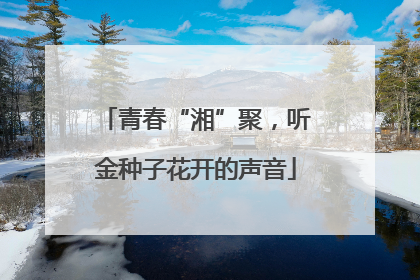 青春“湘”聚，听金种子花开的声音