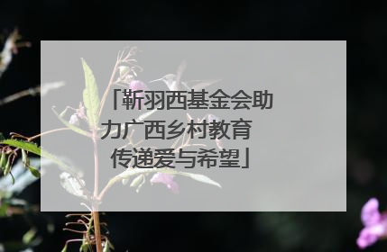 靳羽西基金会助力广西乡村教育 传递爱与希望