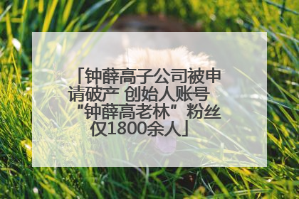 钟薛高子公司被申请破产 创始人账号“钟薛高老林”粉丝仅1800余人