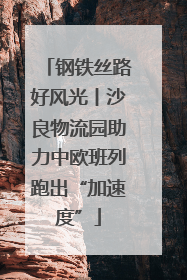 钢铁丝路好风光丨沙良物流园助力中欧班列跑出“加速度”