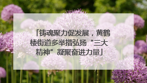铸魂聚力促发展，黄鹤楼街道多举措弘扬“三大精神”凝聚奋进力量