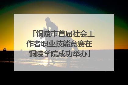 铜陵市首届社会工作者职业技能竞赛在铜陵学院成功举办