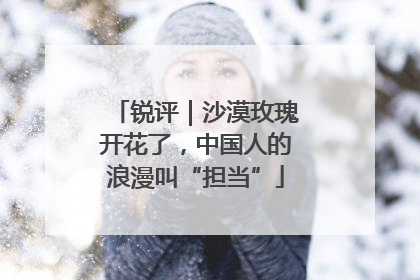 锐评｜沙漠玫瑰开花了，中国人的浪漫叫“担当”
