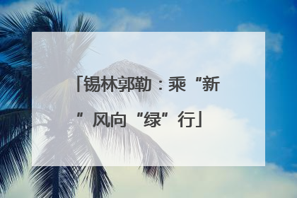 锡林郭勒：乘“新”风向“绿”行
