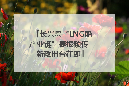 长兴岛“LNG船产业链”捷报频传 新政出台在即