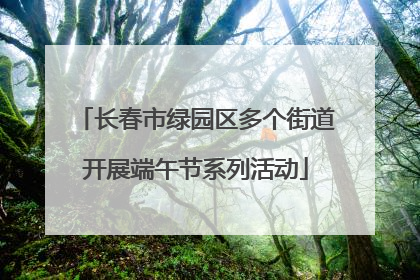 长春市绿园区多个街道开展端午节系列活动