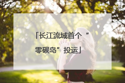 长江流域首个“零碳岛”投运
