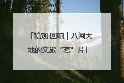镜观·回响｜八闽大地的文旅“茗”片