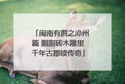闽南有厝之漳州篇 胭脂砖木雕里千年古郡续传奇