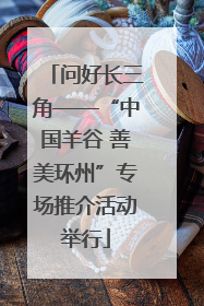 问好长三角——“中国羊谷 善美环州”专场推介活动举行