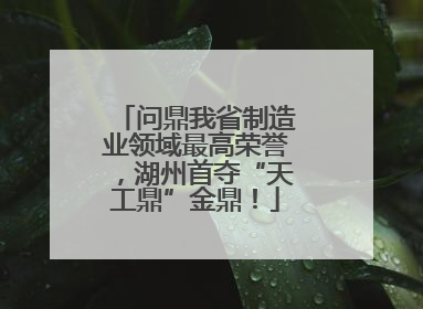 问鼎我省制造业领域最高荣誉，湖州首夺“天工鼎”金鼎！