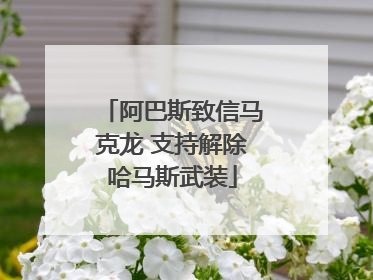 阿巴斯致信马克龙 支持解除哈马斯武装