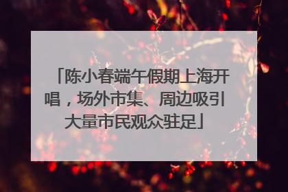 陈小春端午假期上海开唱，场外市集、周边吸引大量市民观众驻足