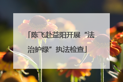 陈飞赴益阳开展“法治护绿”执法检查