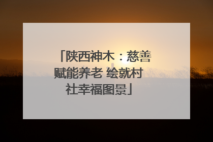 陕西神木：慈善赋能养老 绘就村社幸福图景