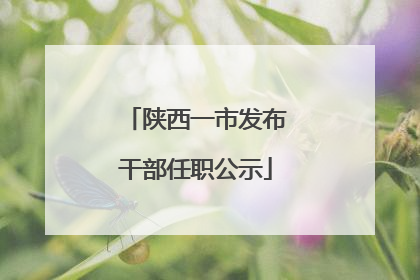 陕西一市发布干部任职公示