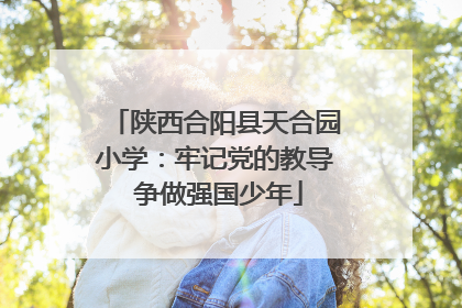 陕西合阳县天合园小学：牢记党的教导 争做强国少年