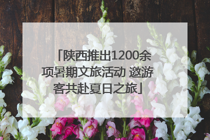 陕西推出1200余项暑期文旅活动 邀游客共赴夏日之旅