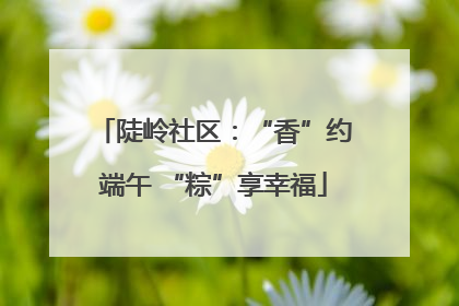 陡岭社区：“香”约端午 “粽”享幸福