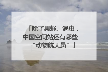 除了果蝇、涡虫，中国空间站还有哪些“动物航天员”