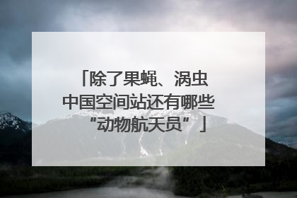 除了果蝇、涡虫 中国空间站还有哪些“动物航天员”