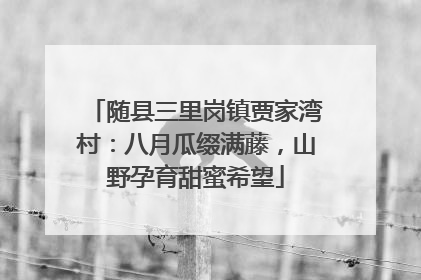随县三里岗镇贾家湾村：八月瓜缀满藤，山野孕育甜蜜希望