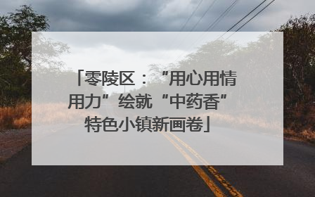 零陵区：“用心用情用力”绘就“中药香”特色小镇新画卷